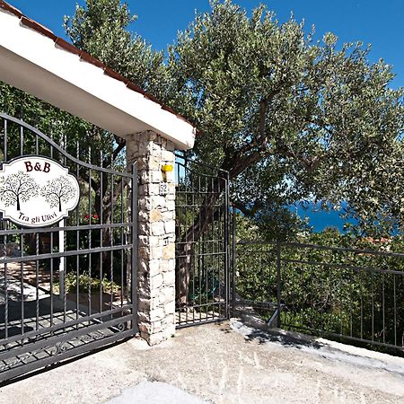 Tra Gli Ulivi Bed & Breakfast Pietra Ligure Exterior foto