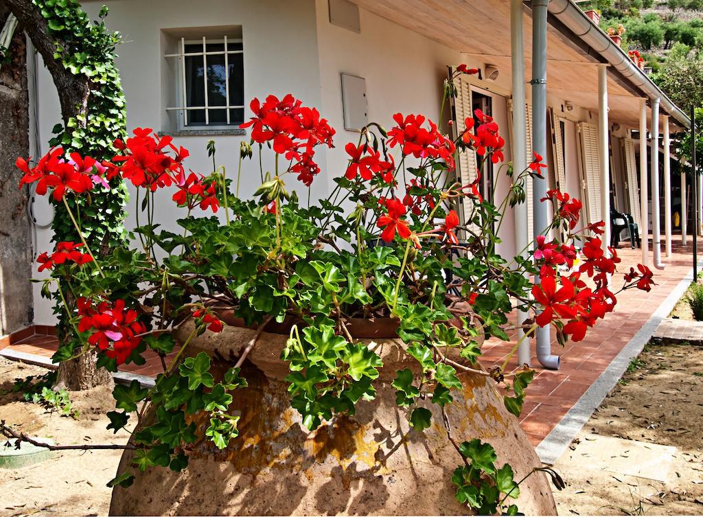 Tra Gli Ulivi Bed & Breakfast Pietra Ligure Exterior foto